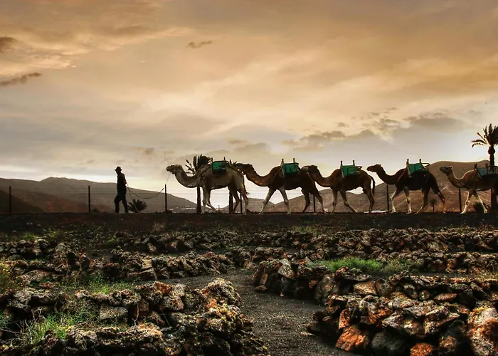 Apartment Home2book Terrace & Pool Retreat, Costa