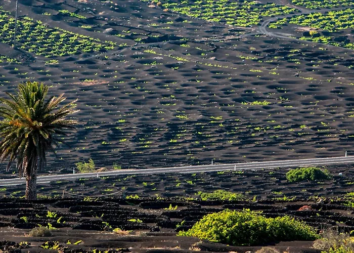 Apartment Home2book Terrace & Pool Retreat, Costa Teguise (Lanzarote)