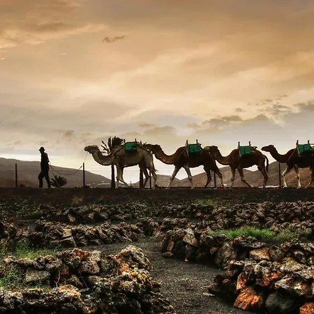 Διαμέρισμα Home2book Terrace & Pool Retreat,